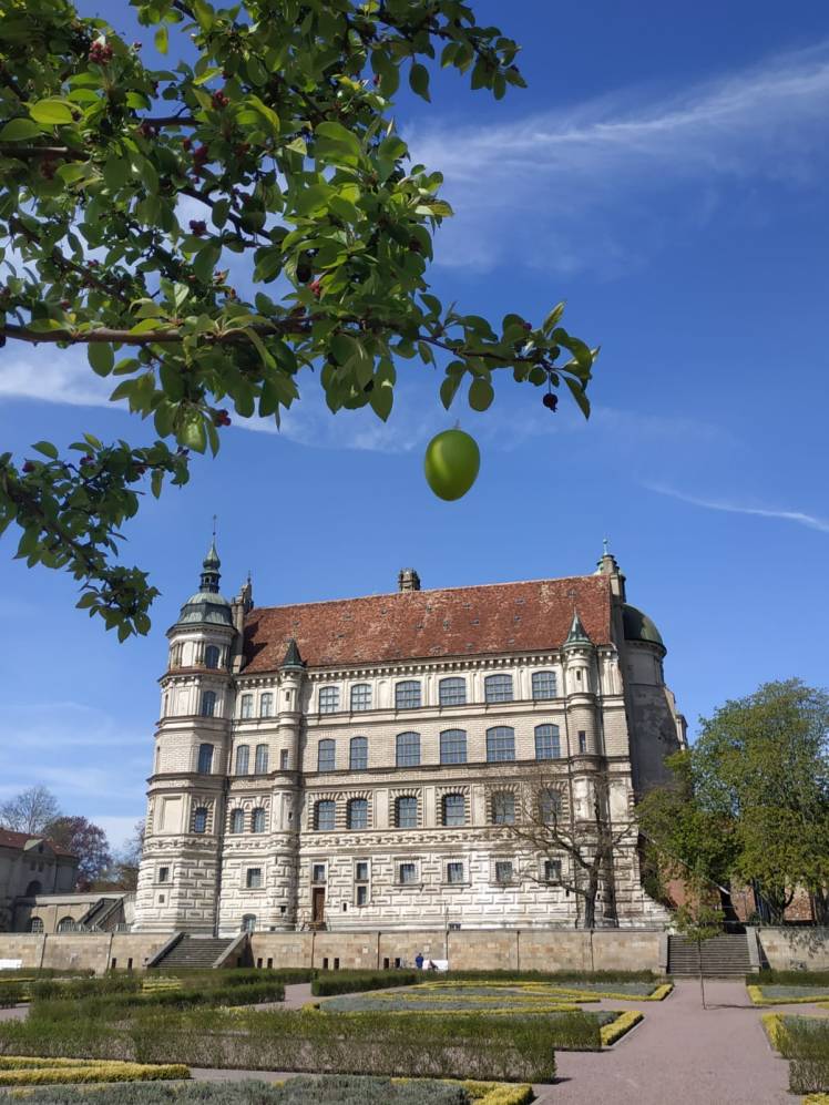 ff043c4a-b1c3-42b0-a06a-01c2aeab6c06