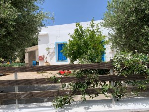 bYPvncCnRPyVYqxyOhjAow