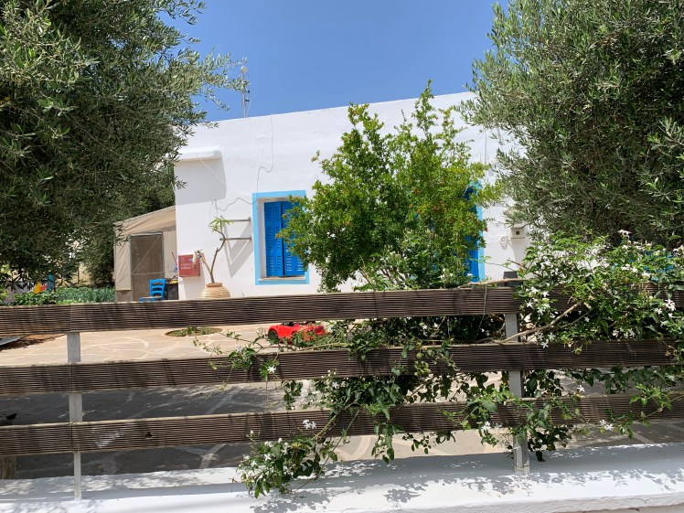 bYPvncCnRPyVYqxyOhjAow