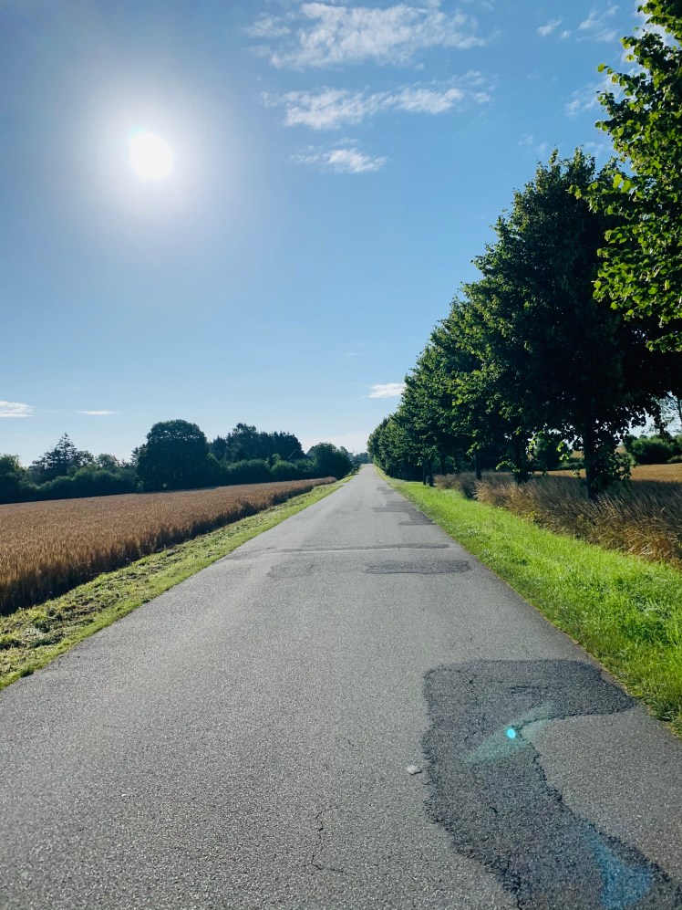 78036CC8-713B-4976-9A08-71A51881DF7C_1_201_a