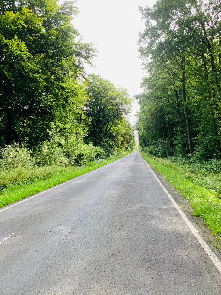 86CCE36A-E662-4190-AC3D-CDBE4F921F21_1_201_a